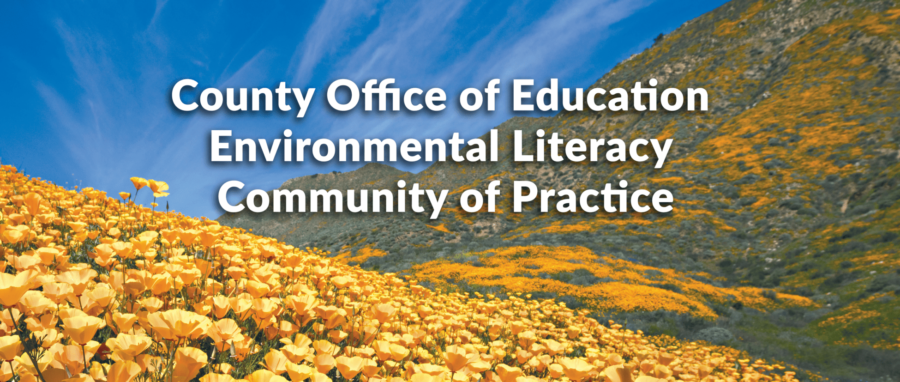 CAELI County Office of Education Environmental Literacy Community of Practice_Super Bloom California Poppies