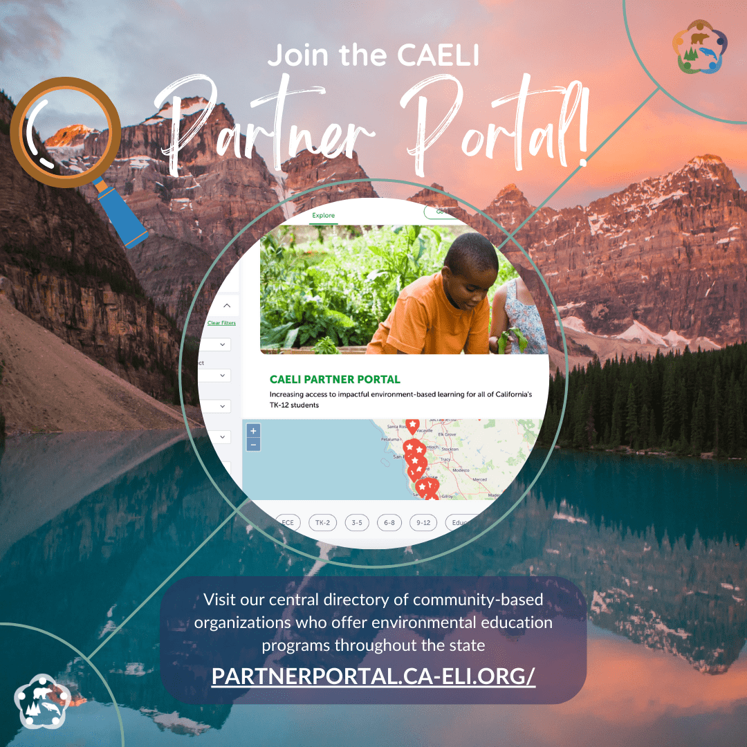 CAELI partner portal